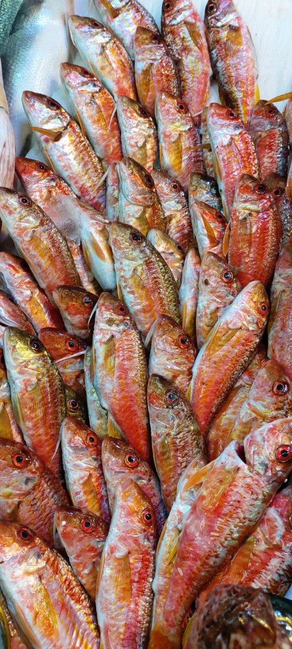 BARBUN (kg)