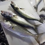 Lüfer (Adet fiyatı)