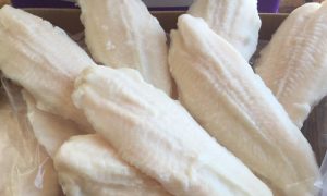PANGA (1kg)