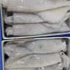 Baby Kalamar (1Kg)