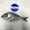 Deniz Çipura (1Kg)