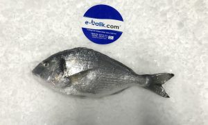Deniz Çipura (1Kg)