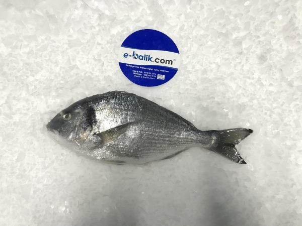 Deniz Çipura (1Kg)