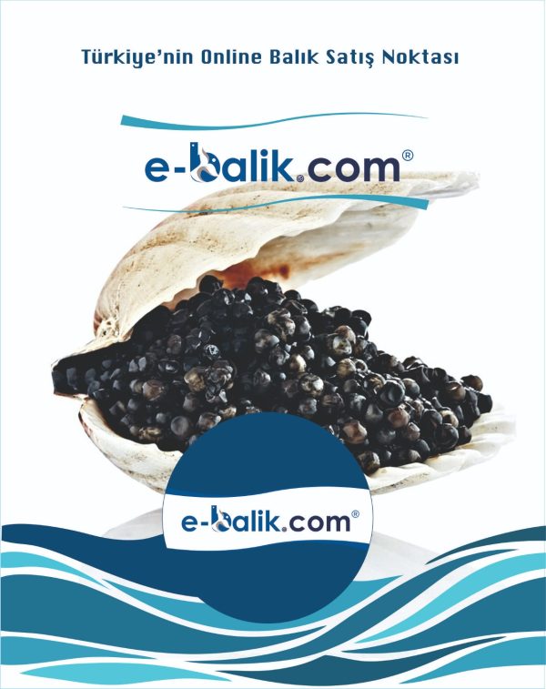 BELUGA HAVYARI  100 GRAM