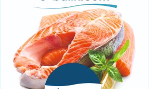 Norveç Somon  Bütün (1kg)