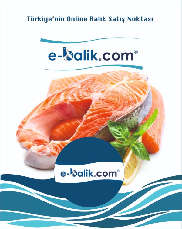 Norveç Somon  Bütün (1kg)