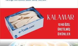 Kalamar Koli
